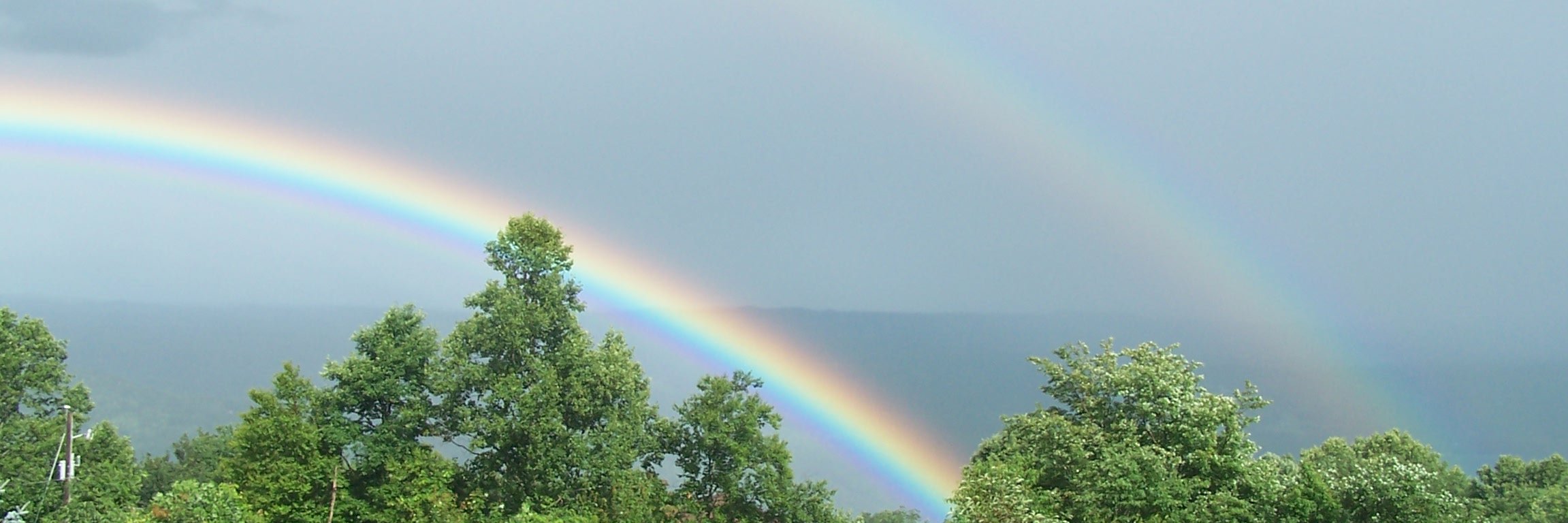 rsmcneill's profile banner image