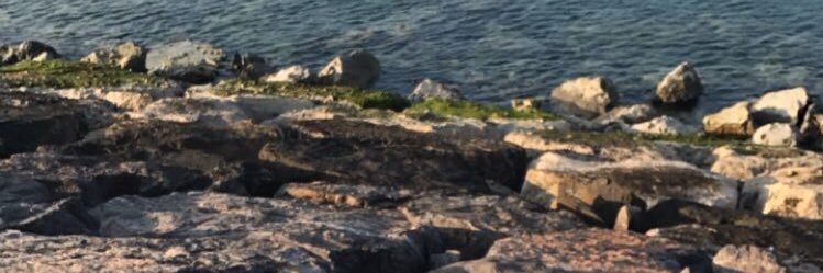 its_Pinkish's profile banner image