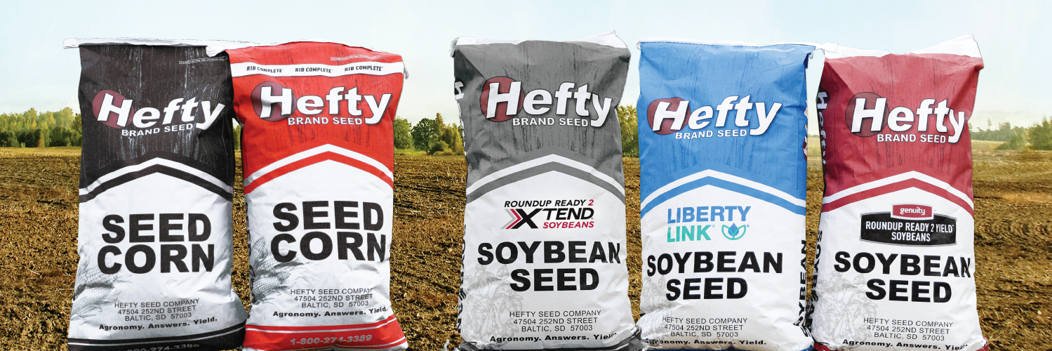 HeftyBrandSeed's profile banner image