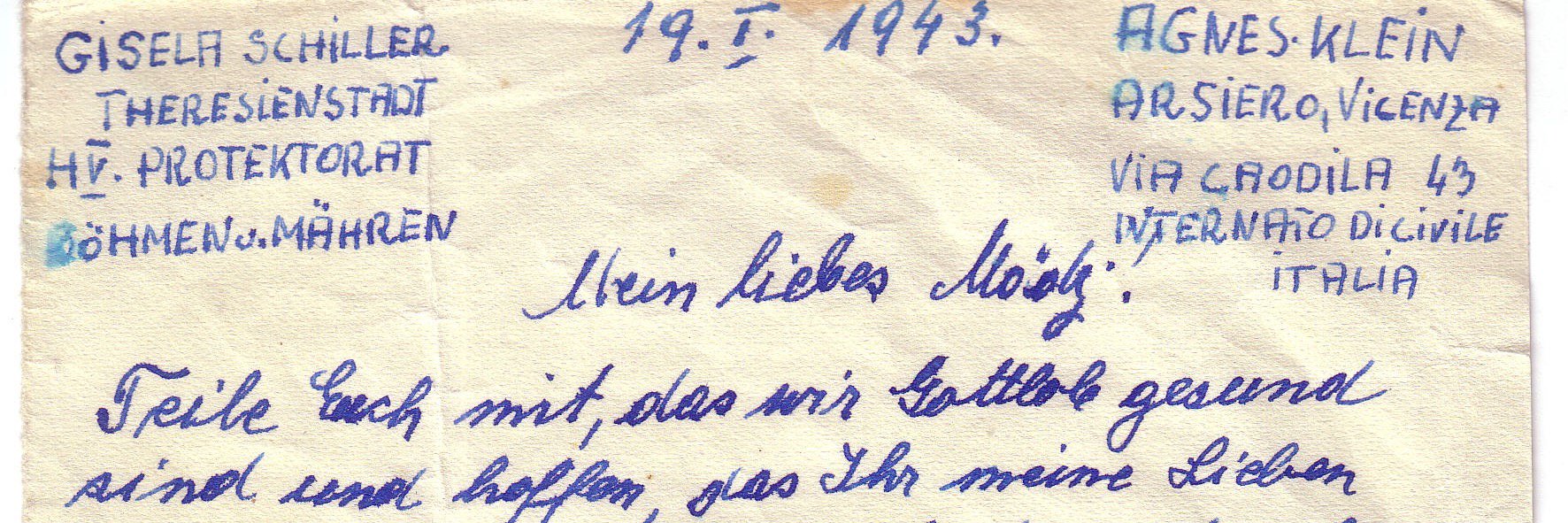 David Klein banner