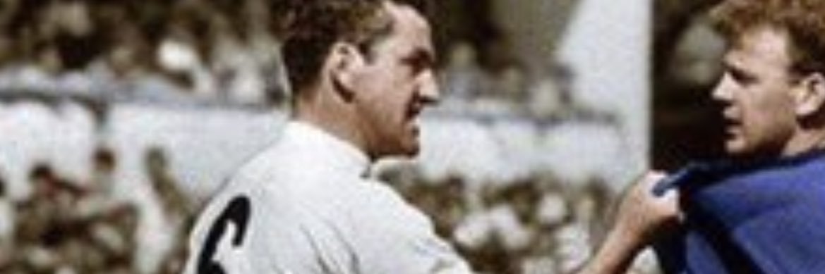 kingen 🇸🇪 banner