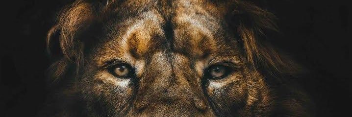 1_richforever's profile banner image
