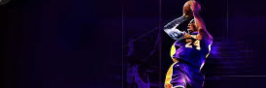Dillon Roeming banner