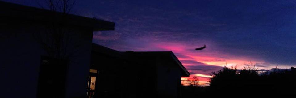 AlisonCLouise's profile banner image