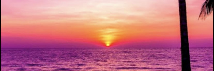 xMiss_Randomx's profile banner image