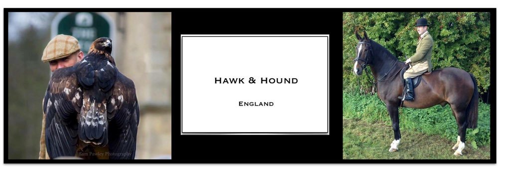 HawkHound1's profile banner image