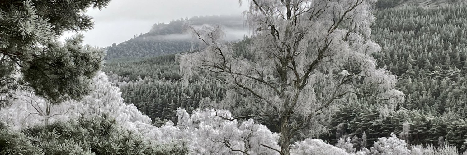 NMacklon's profile banner image