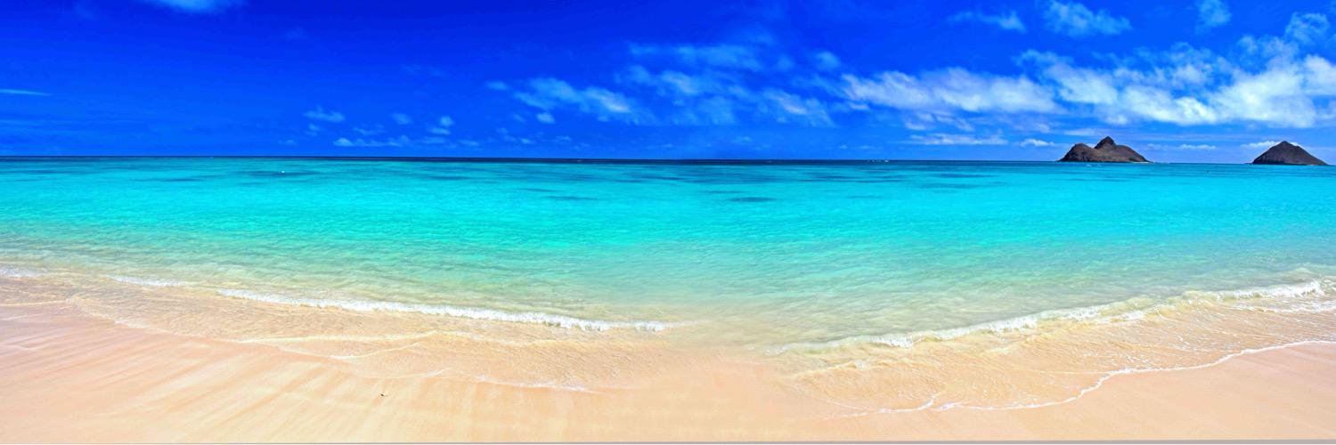 Lymepie's profile banner image