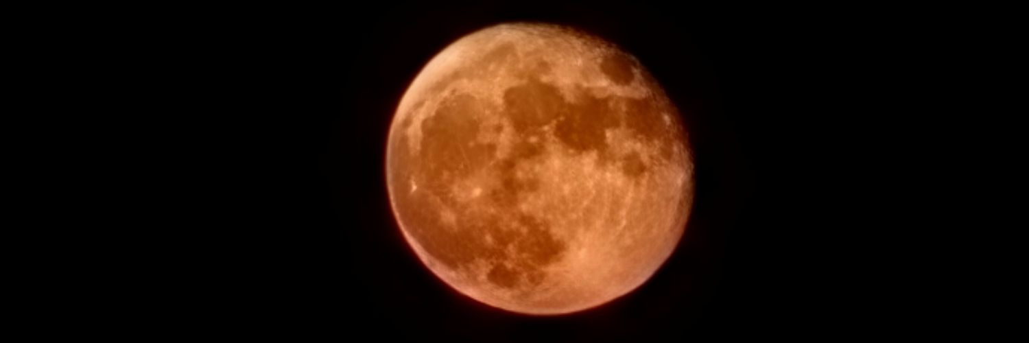 rachreport's profile banner image