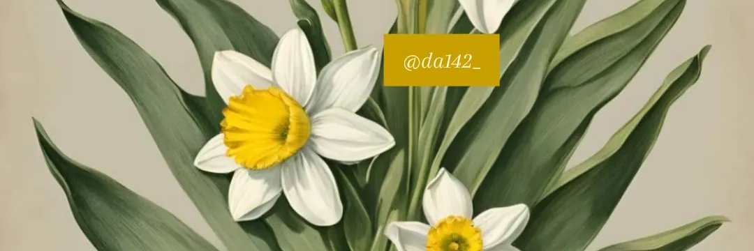 da142_'s profile banner image