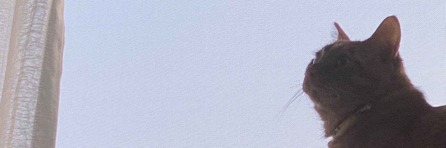 MSixthman's profile banner image