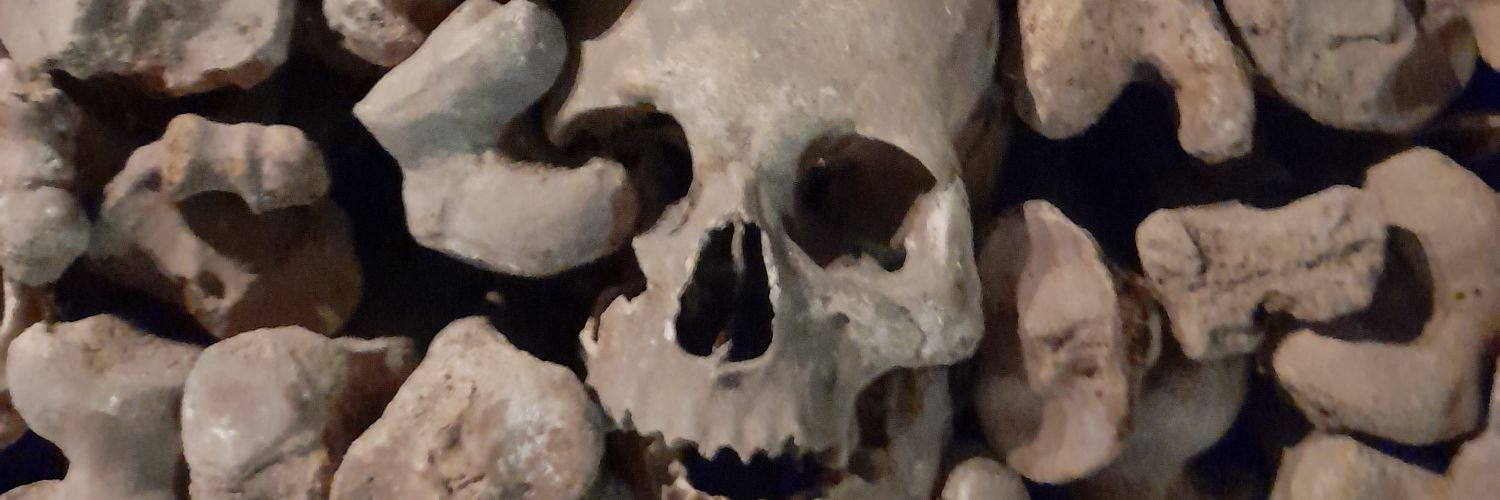 Bruno Di Geronimo banner