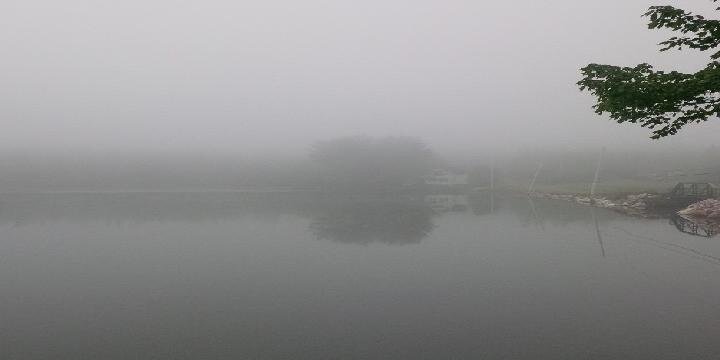 Crowdis Bridge banner
