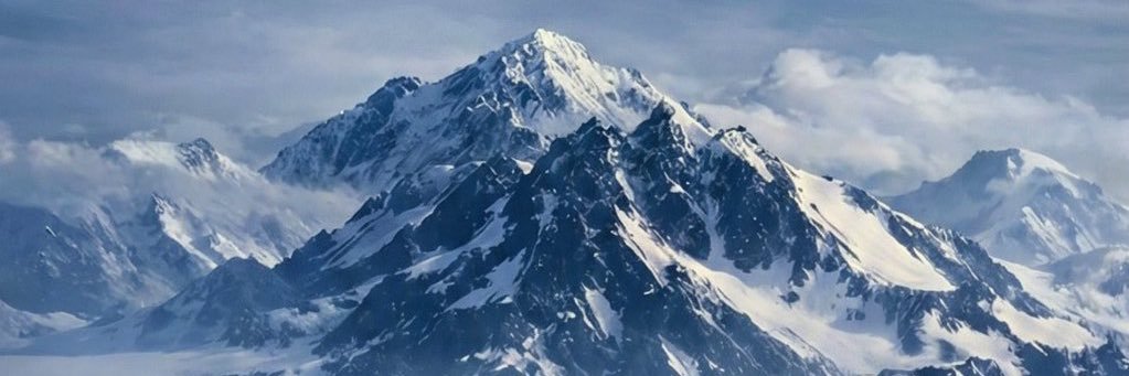 PNelly 🇺🇸 banner