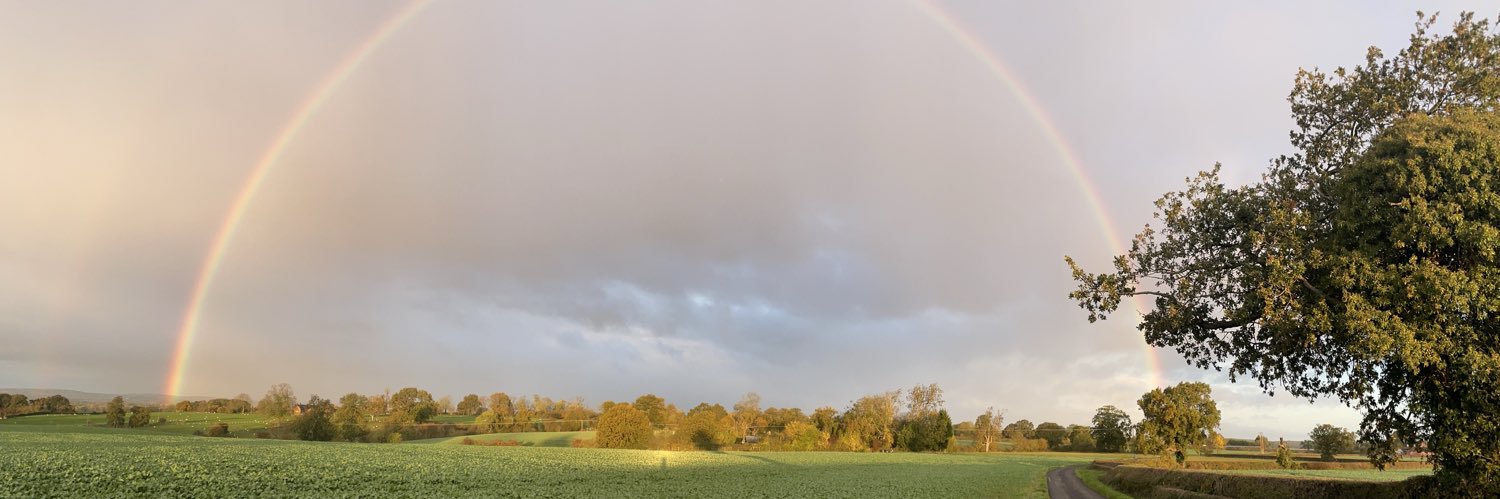 DavidHPearce's profile banner image