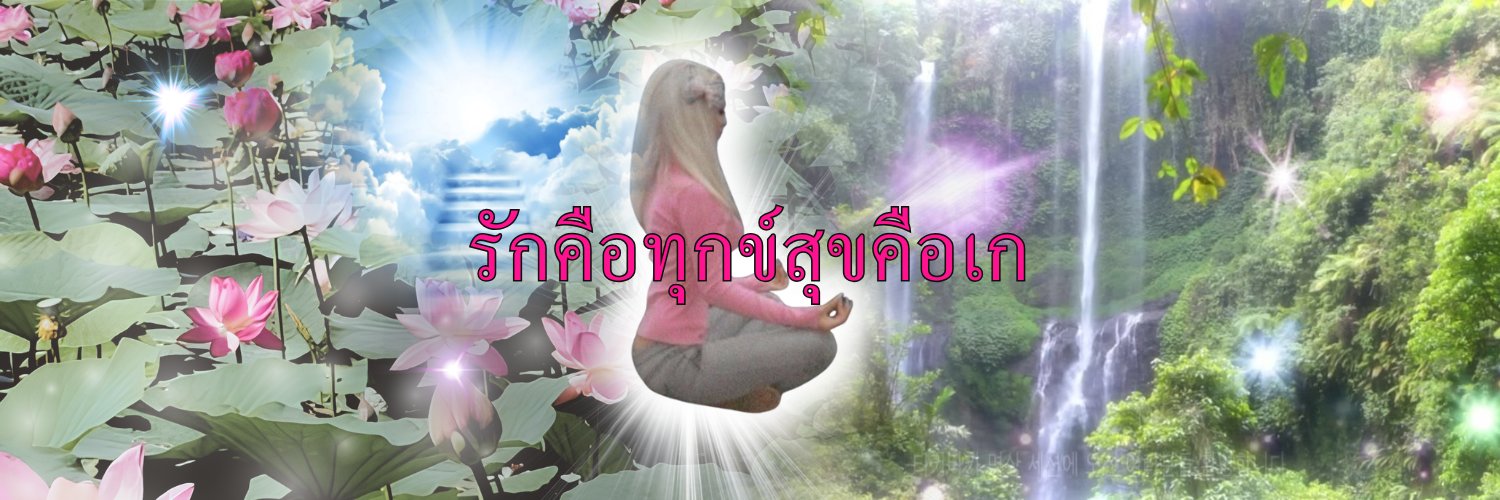 bearrtrice's profile banner image