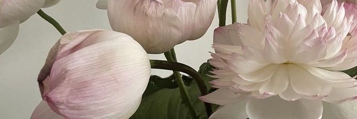 cien 𓇼 banner
