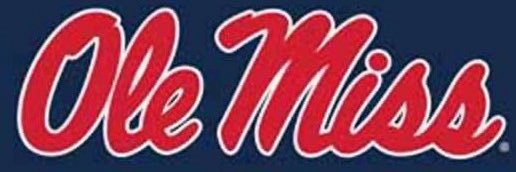 RebelGal banner