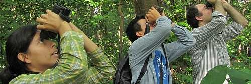 WorldBirdTours's profile banner image