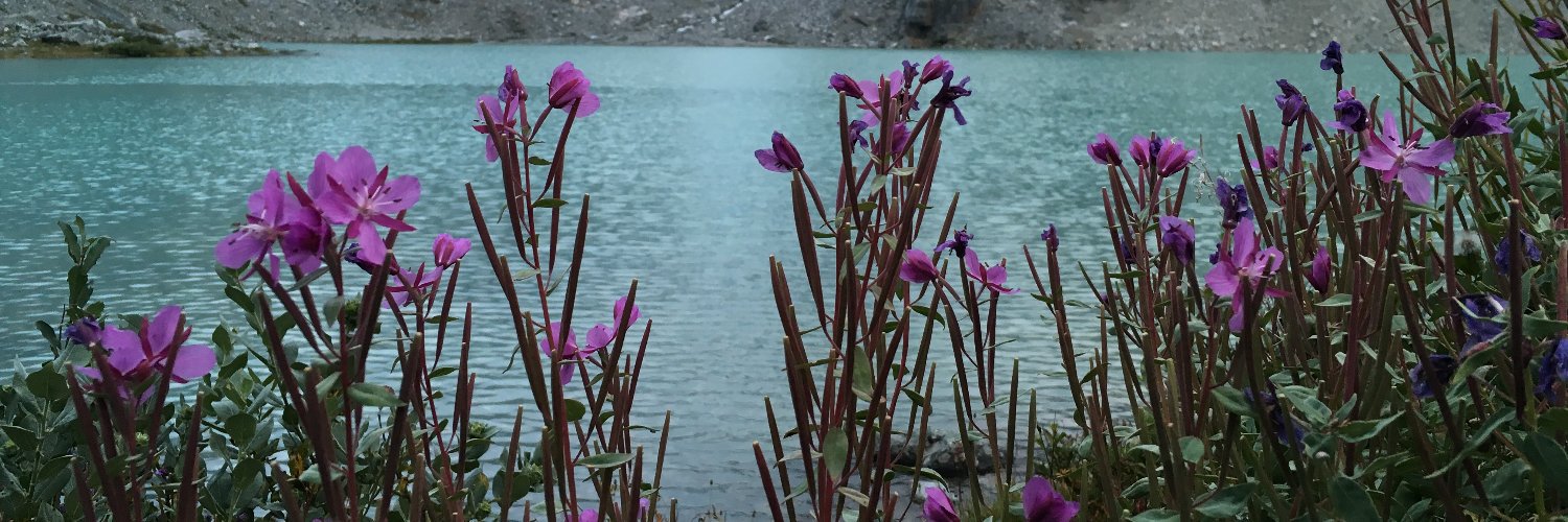 LisaOdland's profile banner image