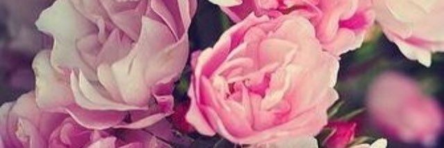 _michaela_w_'s profile banner image