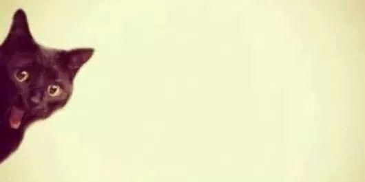 iamdanisaurio's profile banner image