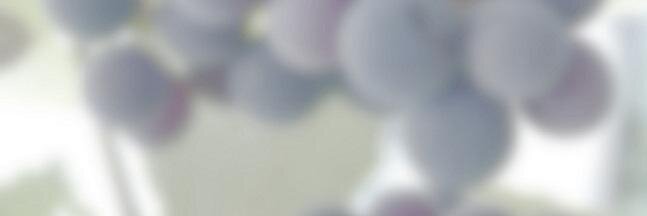 vintiOS's profile banner image