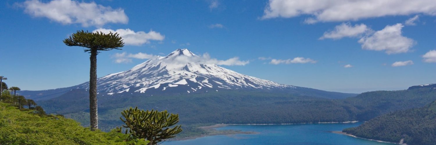 Pakomemo's profile banner image