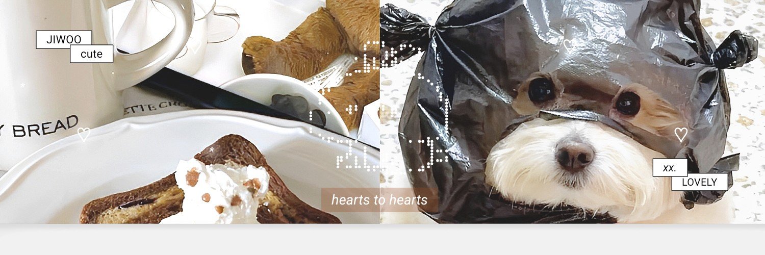 crucstu's profile banner image