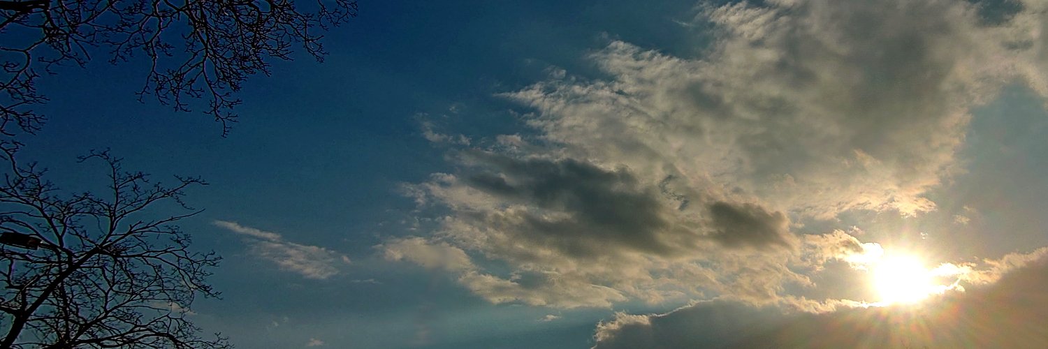 ring_arisue's profile banner image
