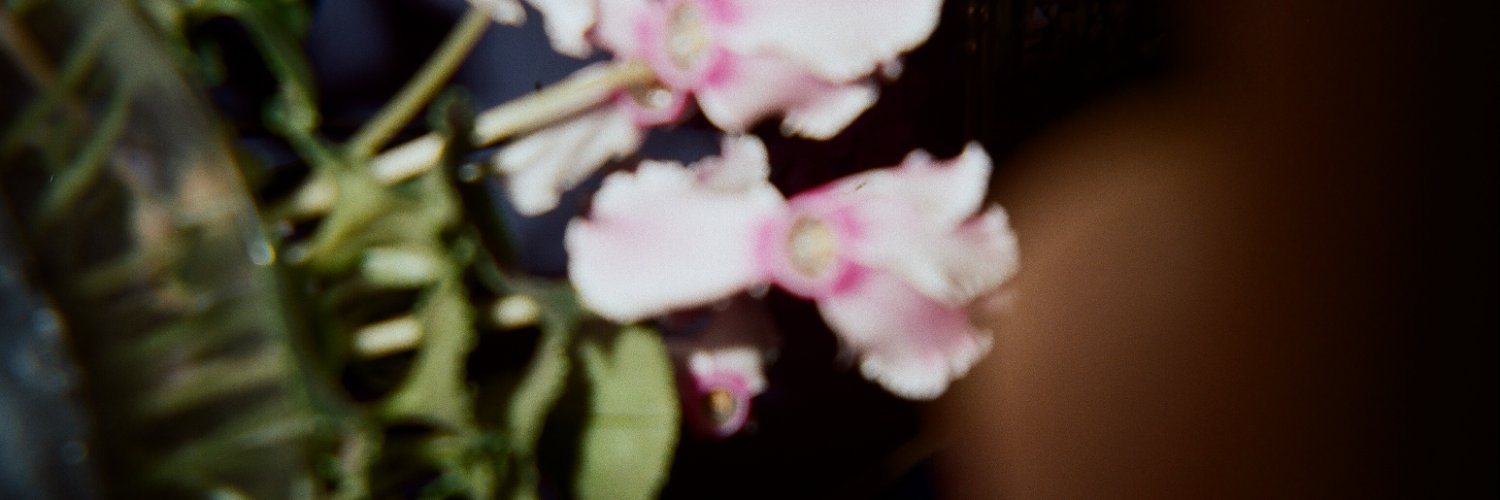 Demosofia's profile banner image