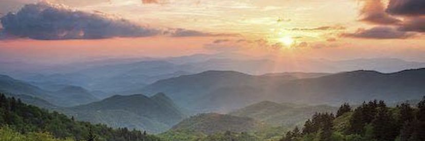 carmen4913's profile banner image