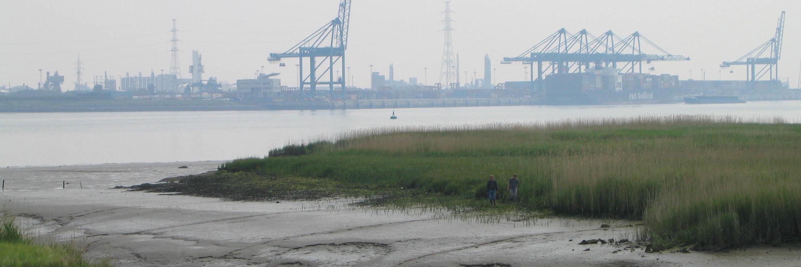 Gijs Du Laing banner