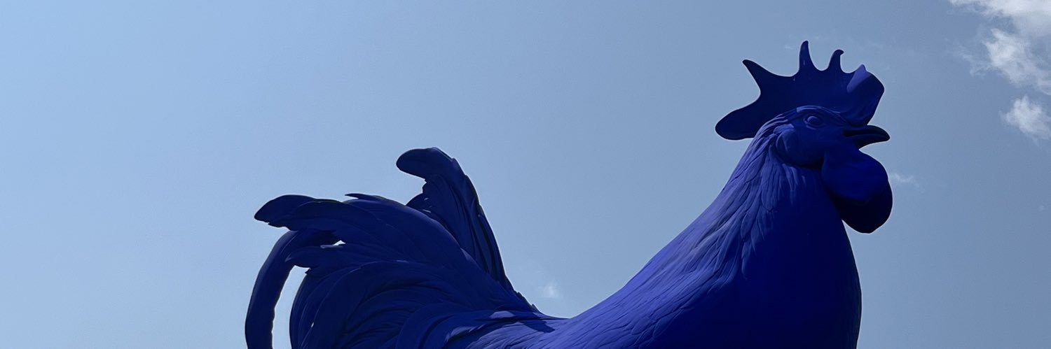 olmi_michele's profile banner image