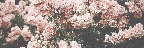 rolaredo29's profile banner image