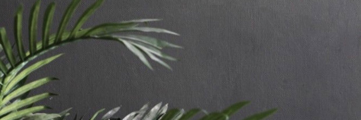 _GracieWalker_'s profile banner image