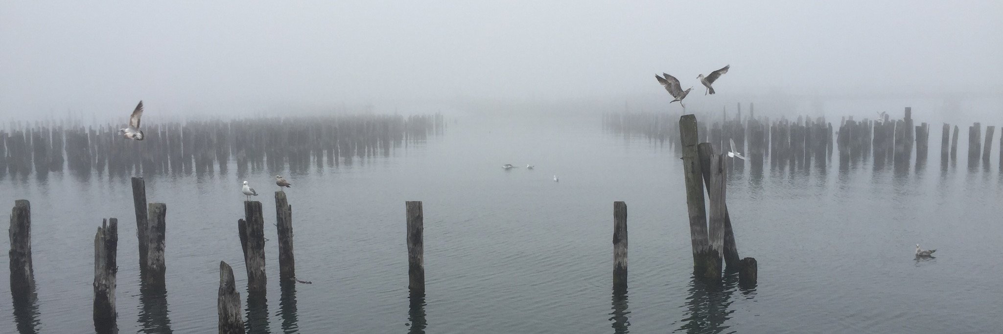 Stacy Mitchell banner