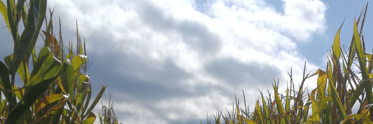 kyilanii's profile banner image