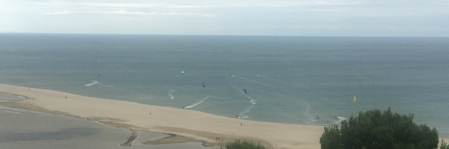 Crespin Edith banner