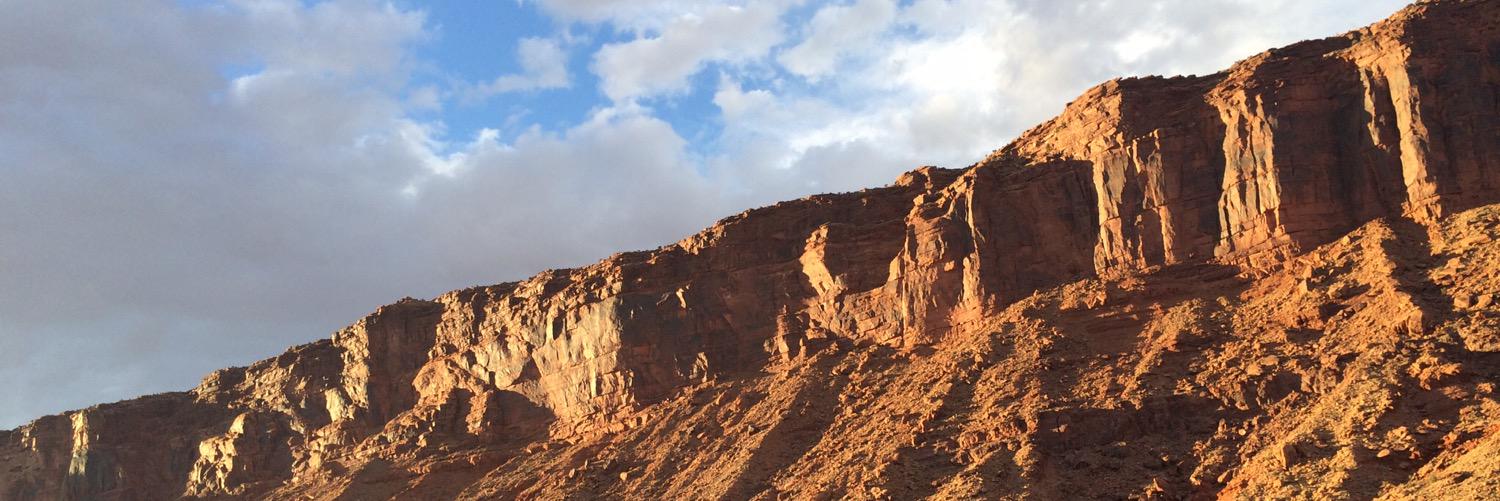 Michael Silberman banner