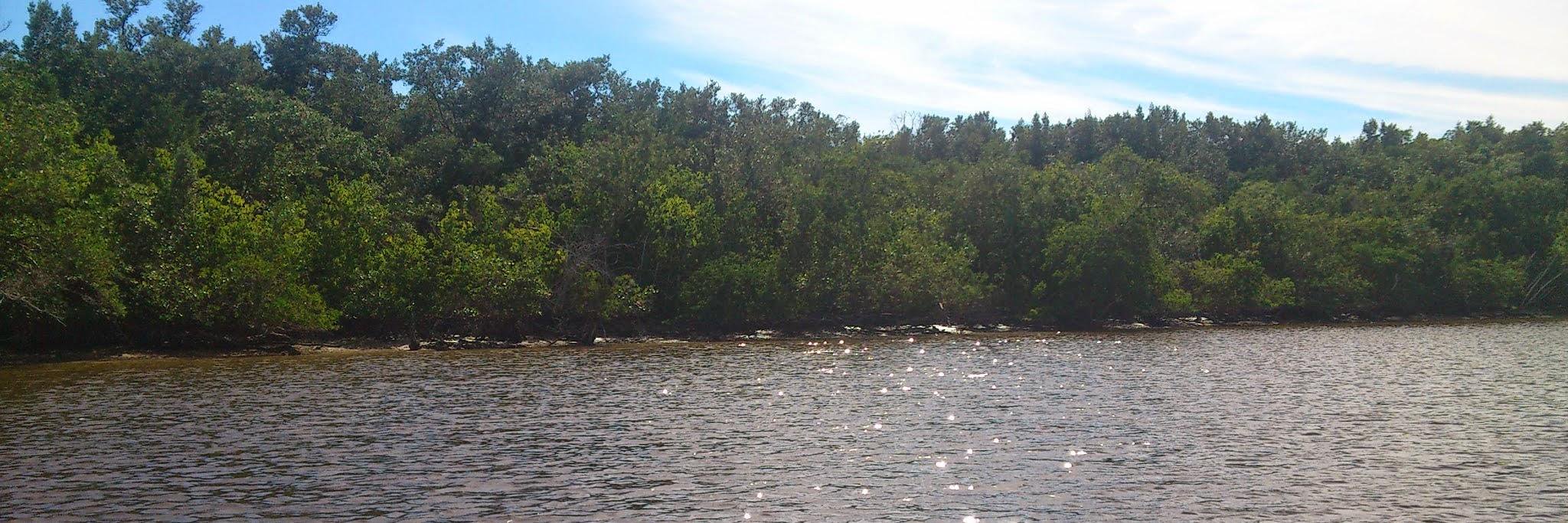 Dr. Anna Mölter 🇪🇺 banner