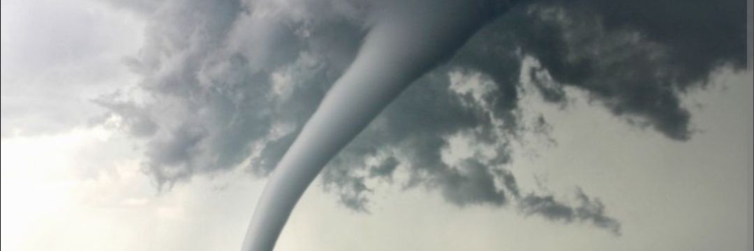 Wilmchick's profile banner image