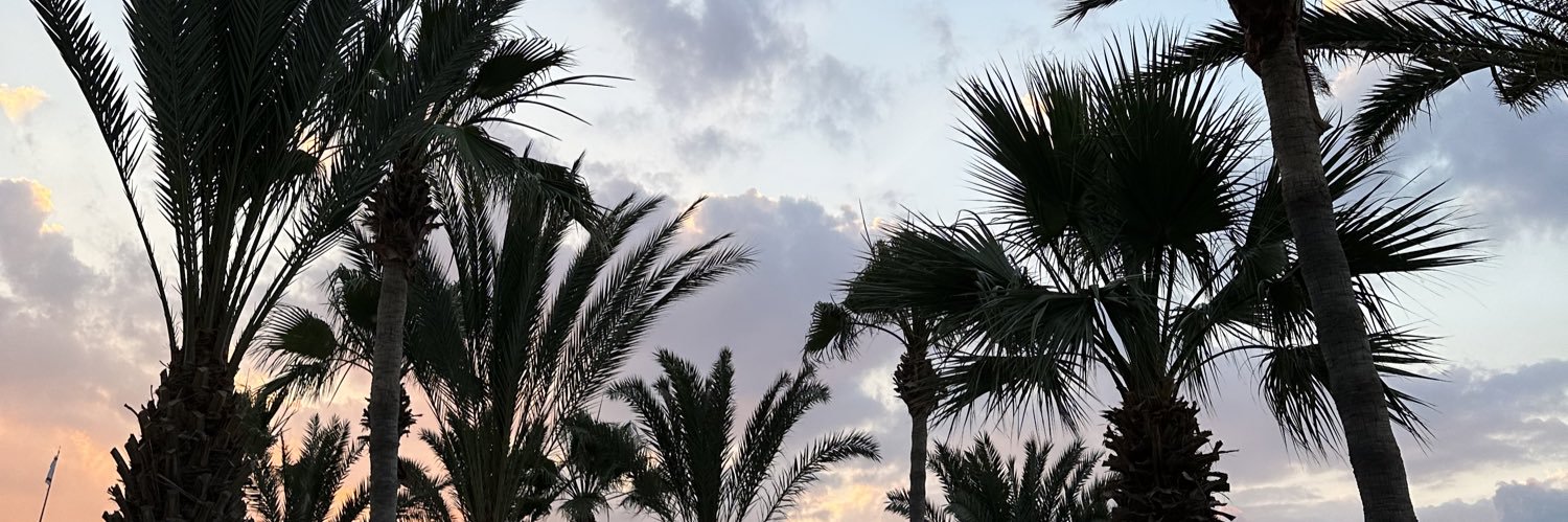 dilaraseneerr's profile banner image