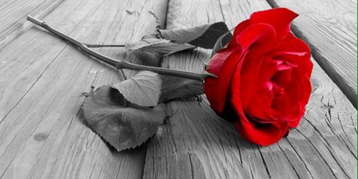 elbashaelhdad's profile banner image