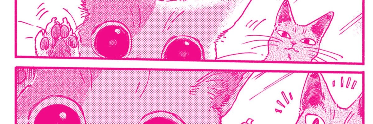 Chikaa_SIN's profile banner image