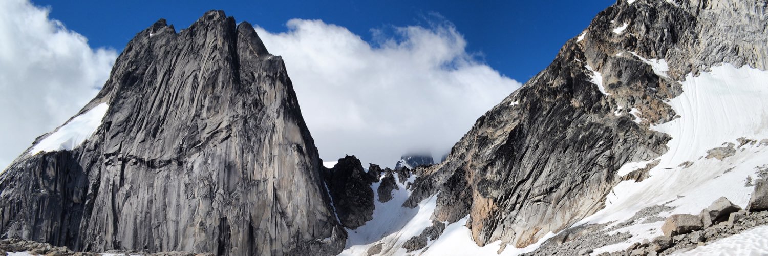 Caitlin McNulty banner