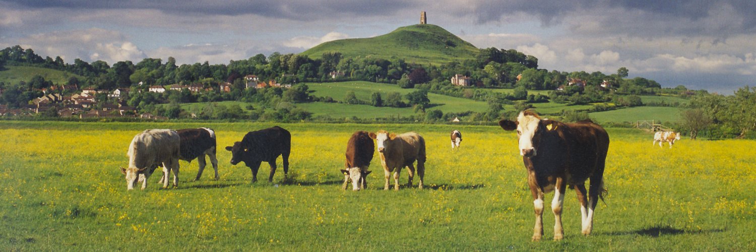 NFU South's banner