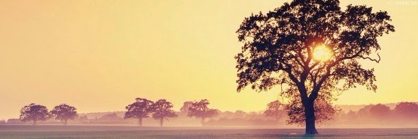 asproliva's profile banner image