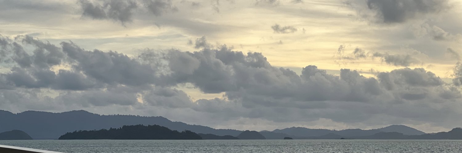 iEmma4's profile banner image