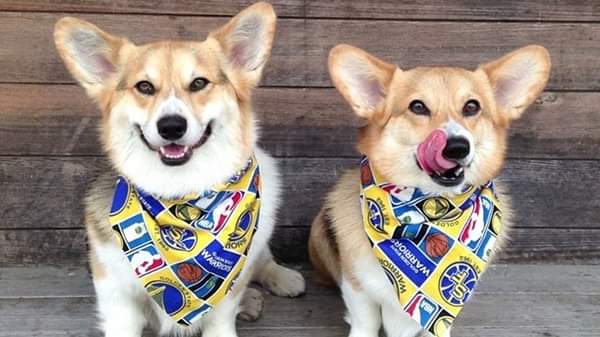 errolsam's profile banner image